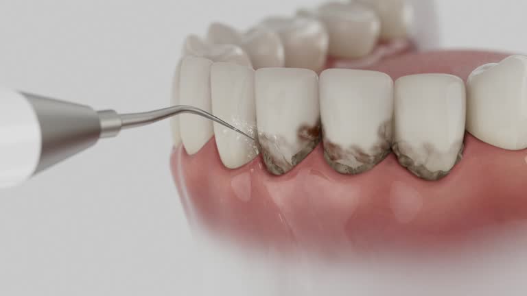 Reliable Dental contractor in Potomac Heights, MD by Dentist Open Now